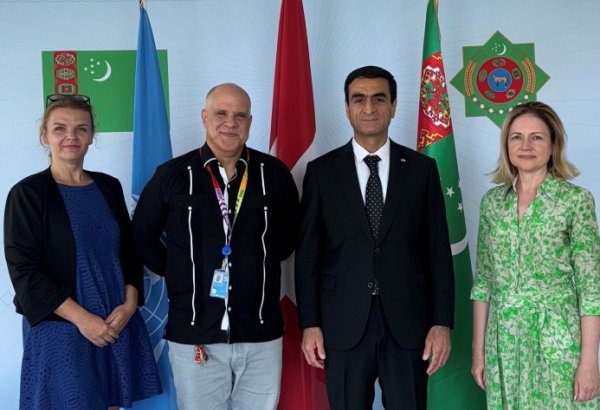 Turkmenistan and ITC review WTO accession progress in Geneva