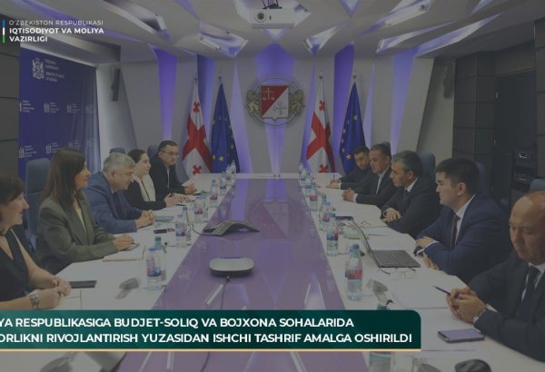 Uzbekistan and Georgia share expertise on budget and customs policy
