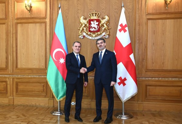 Azerbaijani FM meets with Georgian President to discuss bilateral relations