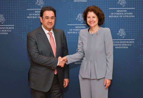 Political consultations held between Lithuania and Kuwait