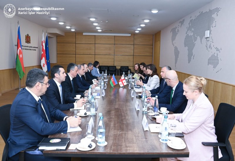 FMs of Azerbaijan and Georgia meet in expanded format (PHOTO)