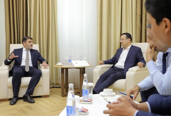 Uzbek-Oman investment company eyes future projects in energy and digital tech
