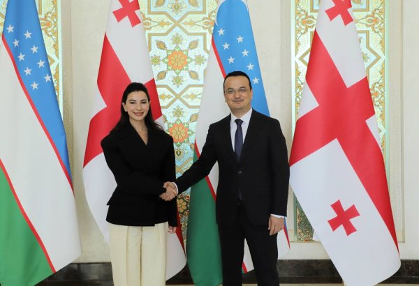 Uzbekistan, Georgia report significant growth in trade and industrial co-op