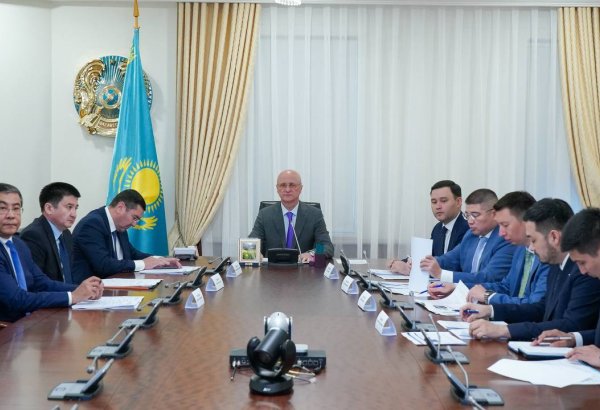 Kazakhstan greenlights key agro-industrial projects with Turkish investors