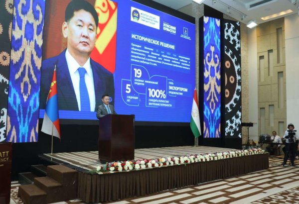 Tajikistan, Mongolia discuss ways to boost bilateral trade
