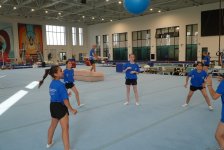 Azerbaijan's Baku hosts trampoline gymnastics training camp (PHOTO)