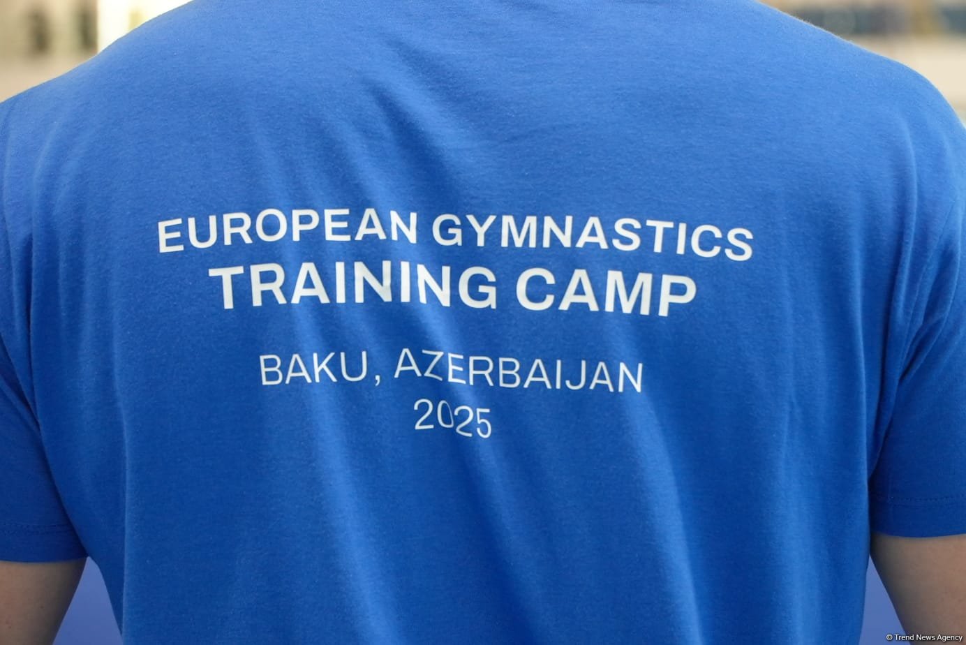 Azerbaijan's Baku hosts trampoline gymnastics training camp (PHOTO)