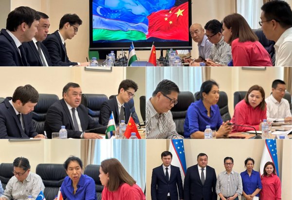 Uzbekistan, China set stage for major industrial collaboration