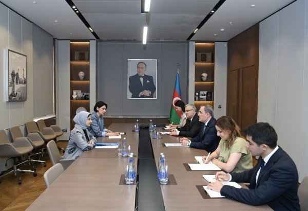 UNICEF representative's diplomatic mission in Azerbaijan wraps up (PHOTO)
