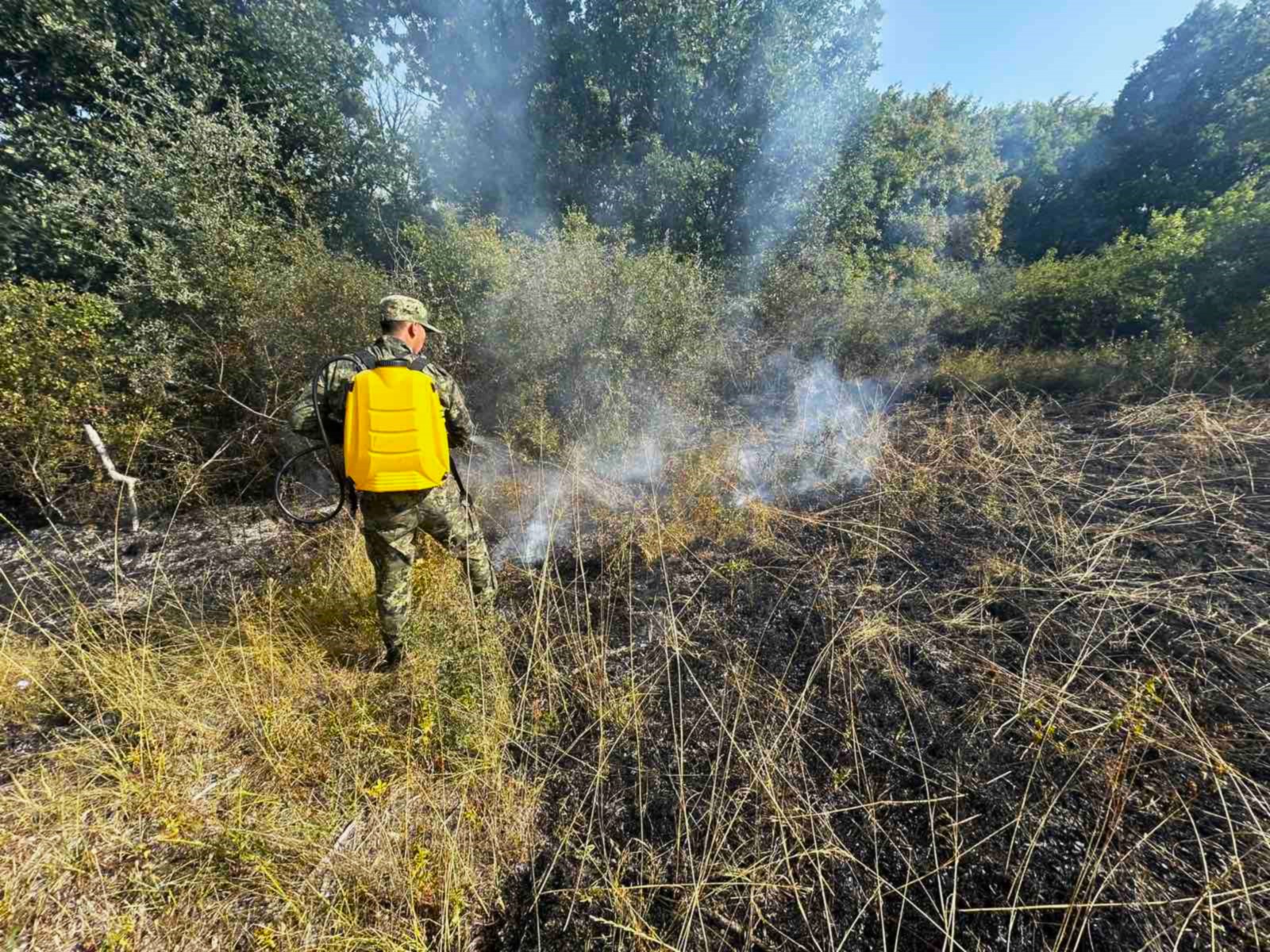 Bulgarian military steps in to contain forest infernos
