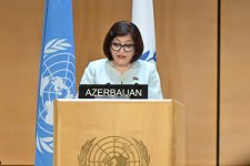 Azerbaijani parliament speaker addresses 6th World Conference (PHOTO)