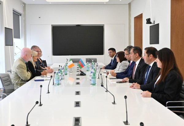 Azerbaijani Parliament Speaker holds diplomatic talks with counterparts in Geneva (PHOTO)