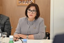 Sahiba Gafarova meets speaker of chamber of deputies of Brazil (PHOTO)