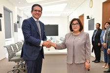 Sahiba Gafarova meets speaker of chamber of deputies of Brazil (PHOTO)