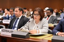 Azerbaijani Parliament head addresses panel discussion at 6th World Conference of Speakers of Parliaments (PHOTO)