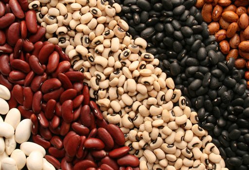 China remains dominant bidder for Uzbek beans in early 2025