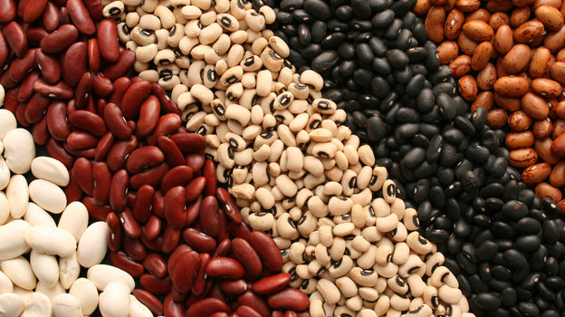 China remains dominant bidder for Uzbek beans in early 2025
