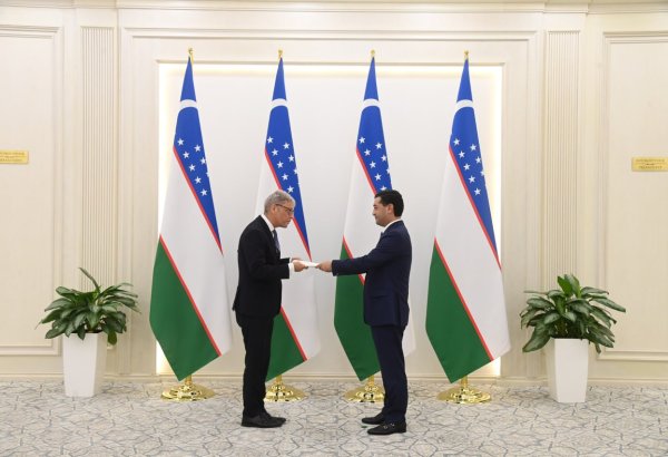 Uzbekistan, Denmark pledge closer co-op in credential ceremony talks