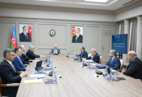 Azerbaijani Economic Council holds its next meeting (PHOTO)