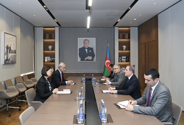 ICRC's Azerbaijani representation concludes its mission in country (PHOTO)