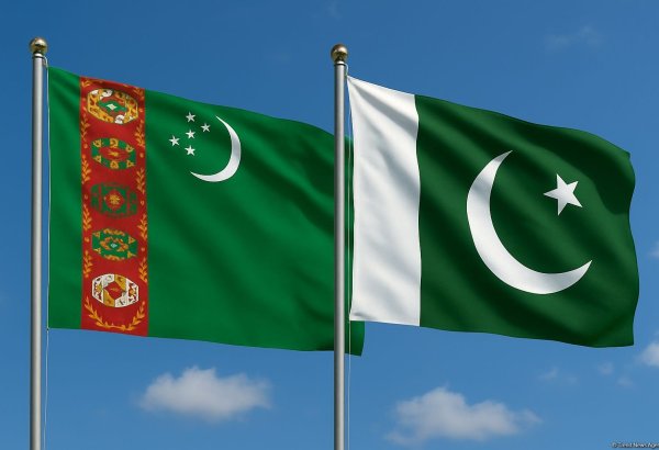 Turkmenistan and Pakistan explore expansion of educational cooperation