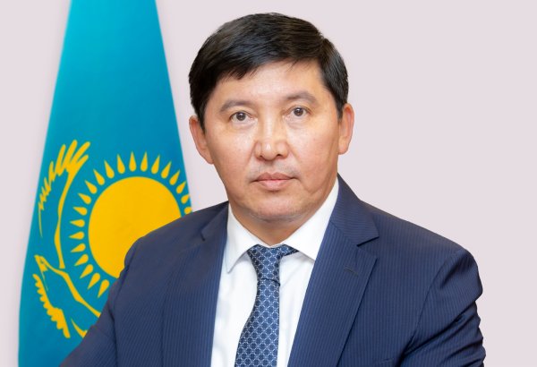 New Vice Minister of Trade and Integration appointed in Kazakhstan
