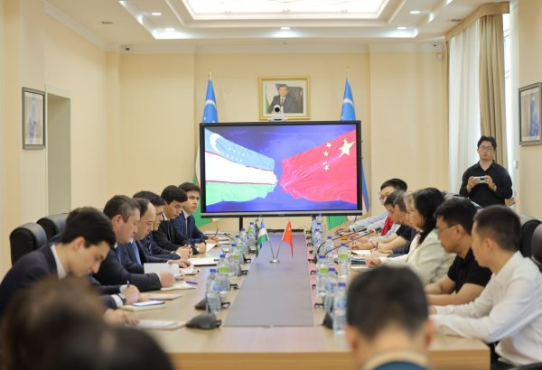 Chinese business magnates scout Uzbekistan for potential investment opportunities