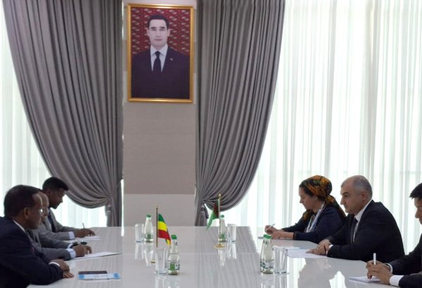 Turkmenistan, Ethiopia debate strategic co-op in transport, environmental sustainability