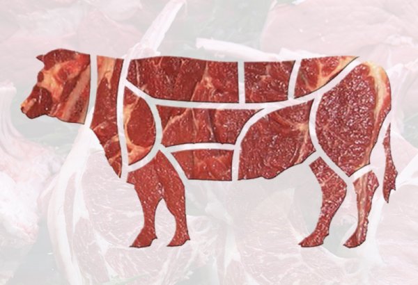 Uzbekistan reveals impressive cattle meat production results for 2024