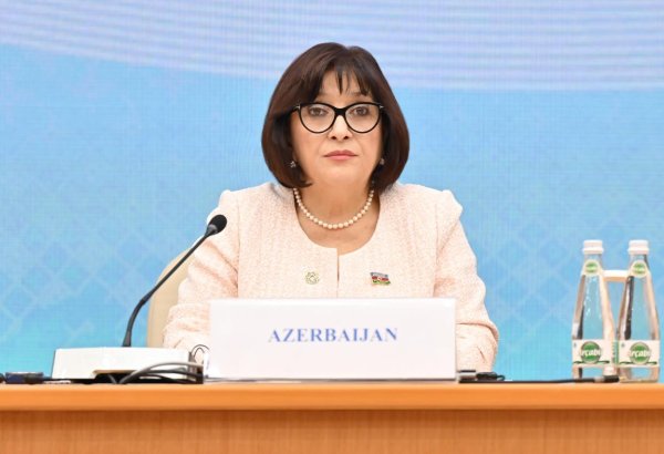 Azerbaijani Parliament speaker congratulates Türkiye on Victory Day