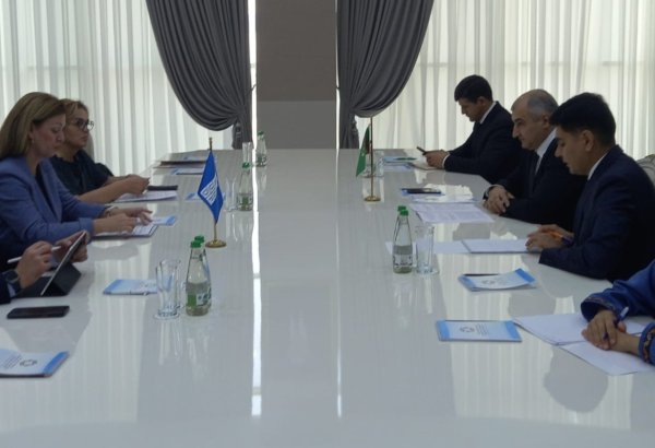 Turkmenistan and UNDP discuss cooperation priorities at high-level meeting