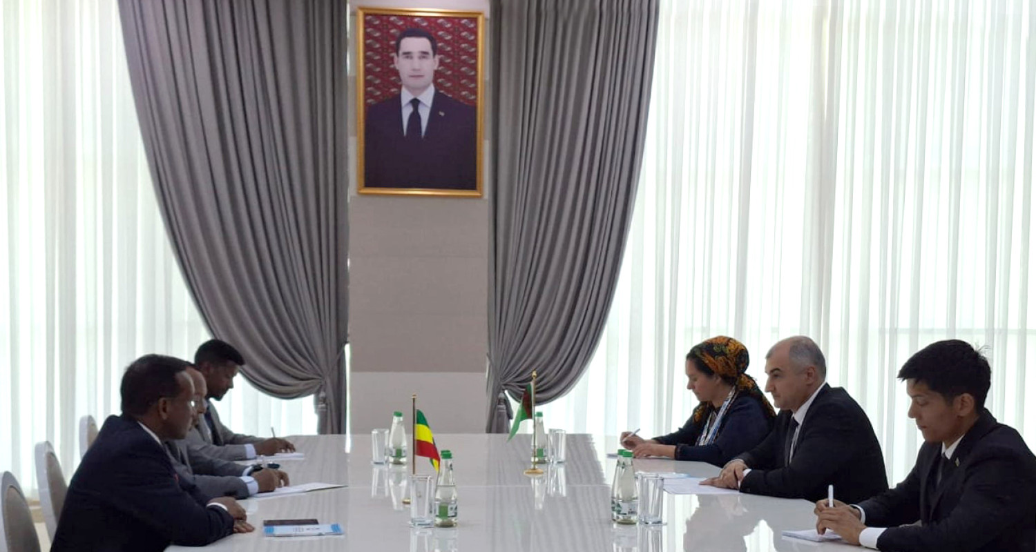 Turkmenistan, Ethiopia debate strategic co-op in transport, environmental sustainability