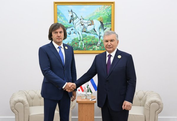 Uzbekistan, Georgia roll up sleeves to firm ties in agriculture, industry, and logistics