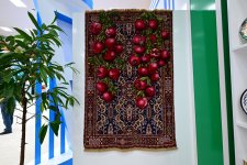Turkmenistan celebrating Azerbaijan National Days (PHOTO)