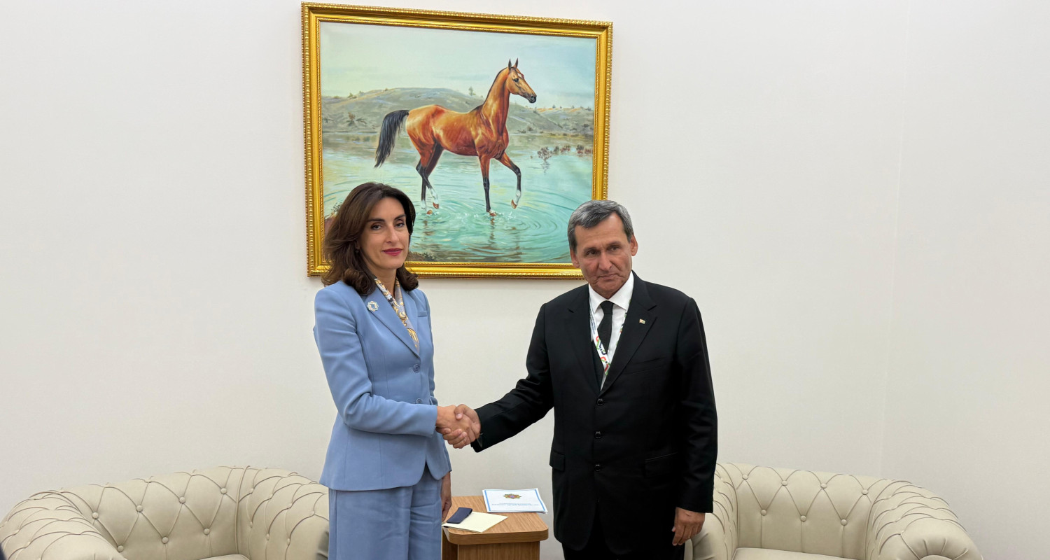 Turkmenistan and Georgia's FMs explore new paths for bilateral co-op