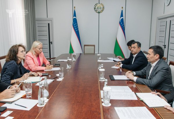 Uzbekistan, KfW Ipex-Bank discuss cooperation on major transport projects