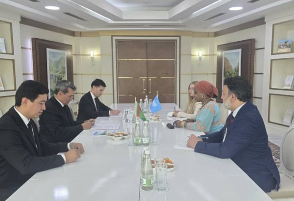 Turkmenistan and UNIDO discuss industrial cooperation and smart city dev't