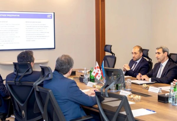 Azerbaijan, Georgia expore BTK development partnership (PHOTO)