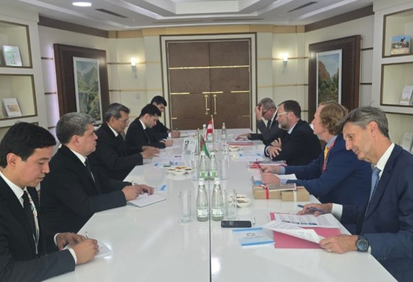 Austrian delegation dive into transport cooperation with Turkmenbashi port