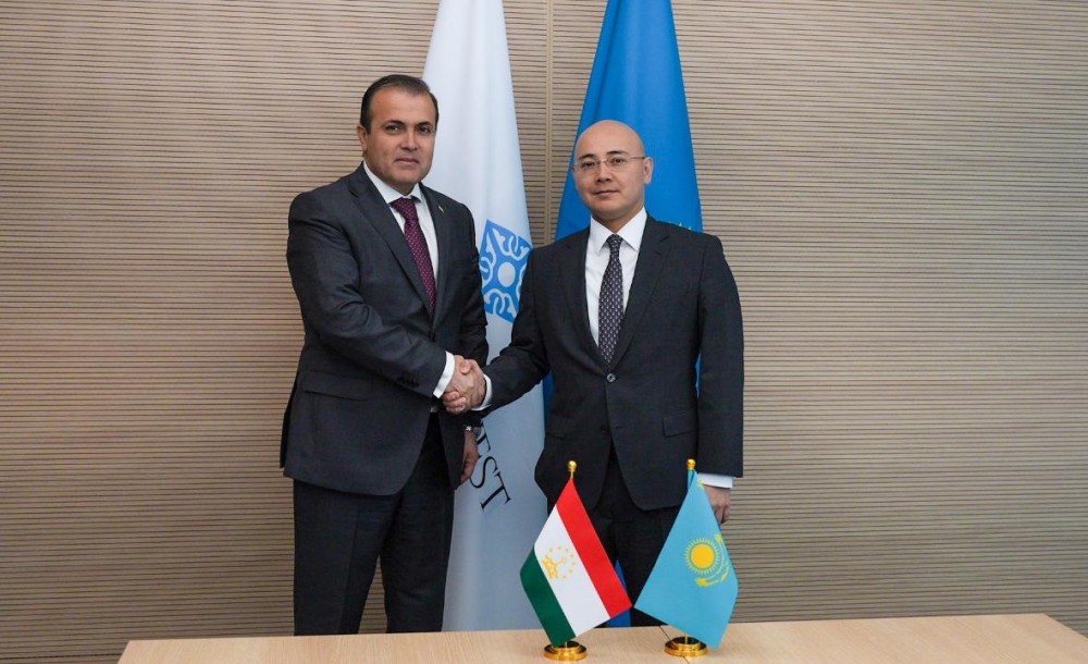Kazakhstan's investment relations with Tajikistan reach new heights