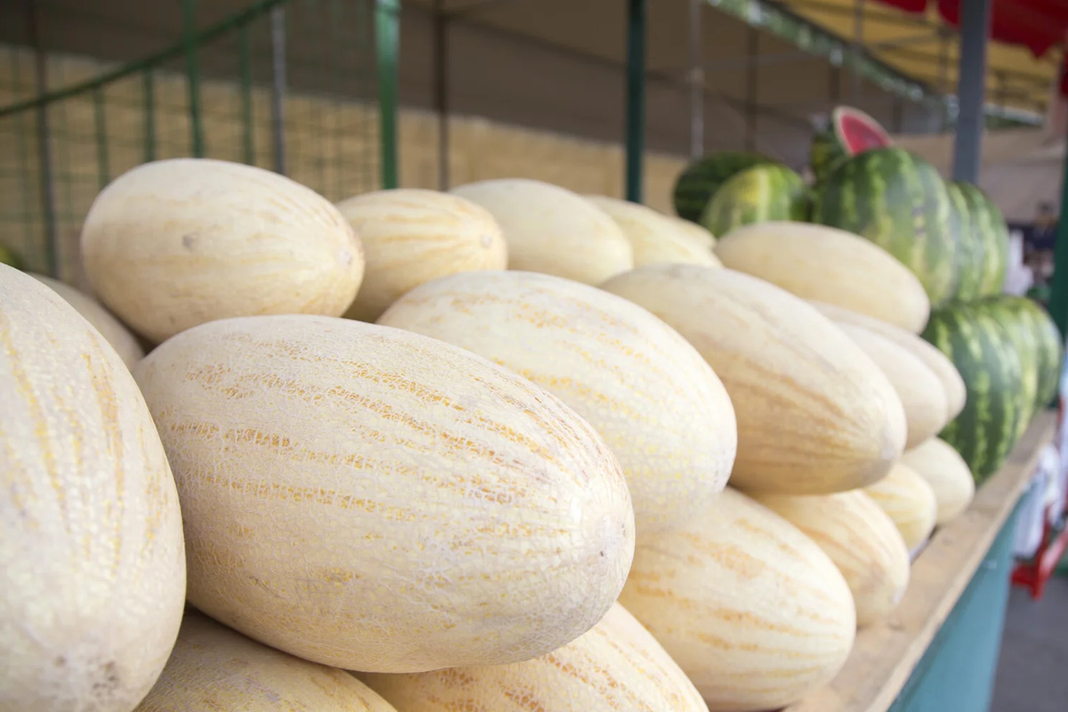 Uzbekistan expands melon exports in 1H2025