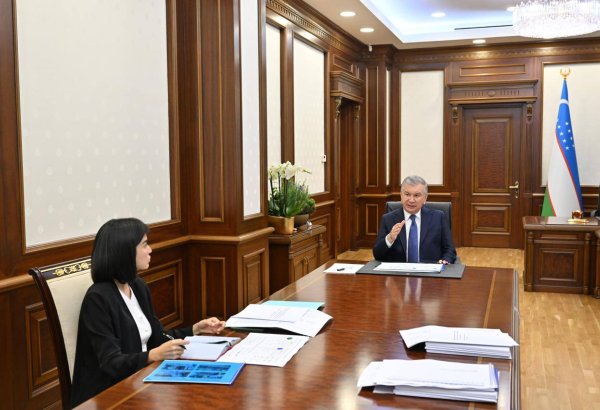 Uzbekistan to launch special legal regime with reduced tax for entrepreneurs