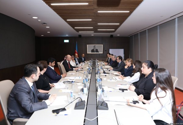 Azerbaijan discusses cooperation opportunities with Arab Coordination Group delegation