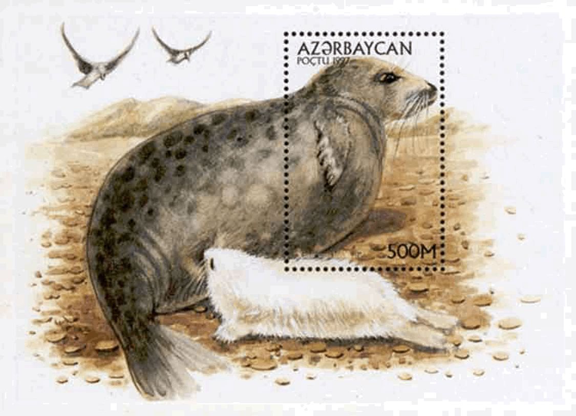 Caspian Day – Protecting a Disappearing Treasure (PHOTO)