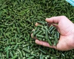 Kazakhstan to launch high-tech alfalfa processing facility in its north region