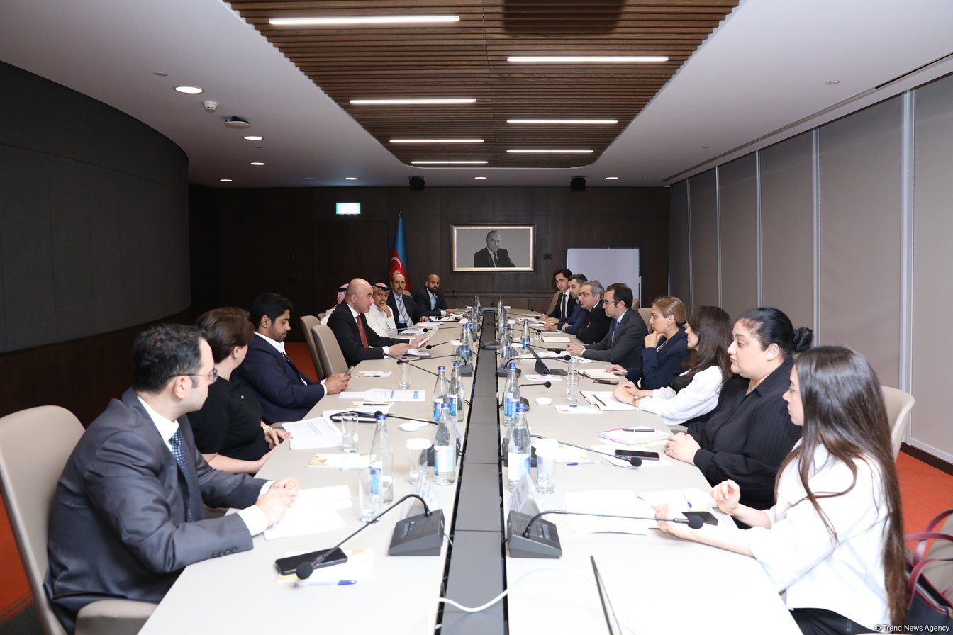 Azerbaijan discusses cooperation opportunities with Arab Coordination Group delegation