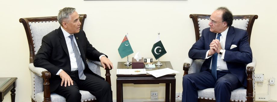 Turkmenistan, Pakistan seek to fast-track TAPI gas pipeline