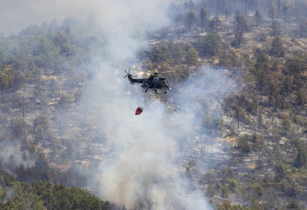 Bulgarian Air Force deploys helicopters to fight forest fire