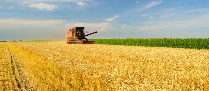Azerbaijan tallies grain harvest details