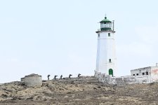 Azerbaijan's Navy holds live-fire tactical exercise with defense minister's tasks (PHOTO)